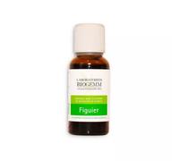 Figuier Bourgeon Macérât Bio Biogemm 30 Ml