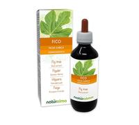 Figuier (Ficus carica) Gemmo-dérivé sans alcool à base de bourgeons frais Naturalma - Extrait liquide gouttes 200 ml - Complément alimentaire - Végétalien ou végan
