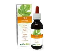 Figuier (Ficus carica) Gemmo-dérivé sans alcool à base de bourgeons frais Naturalma - Extrait liquide gouttes 120 ml - Complément alimentaire - Végétalien ou végan