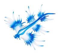 Figure De L'escargot, Sculpture De Poulpe | Jouet Modèle Animal Marine - Simulation Figurines Escargots De MerModèles De Jouets, Petit Escargot De Mer Statue De Poulpe