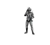 Star Wars - Figurine Movie Masterpiece 1/6 Commander Cody (Chrome Version) Hot Toys Exclusive 30 Cm