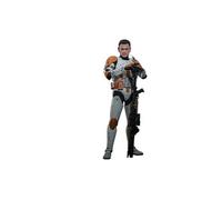 Figure Hot Toys MMS796 - Star Wars : Revenge Of The Sith - Clone Commander Cody multicolore