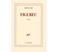 Figurec Fabrice Caro (Auteur)