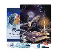 Figured’Art Diamond Painting Broderie Diamant 40x50cm Avec Cadre Toile Tendue Strass Perles Carrés - Chouette dans la Nuit - Kit Complet Animaux 5D DIY Activité Manuelle Loisirs Créatifs Adultes