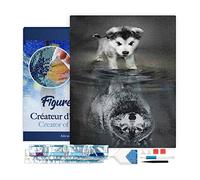 Figured’Art Diamond Painting Broderie Diamant 40x50cm Avec Cadre Toile Tendue Strass Perles Carrés - Chien et Reflet de Loup - Kit Complet Animaux 5D DIY Activité Manuelle Loisirs Créatifs Adultes