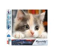 Figured’Art Diamond Painting Broderie Diamant 40x50cm Toile Entière Roulée avec Strass Perles Carrés - Petit Chat curieux - Kit Complet Animaux 5D DIY Activité Manuelle Loisirs Créatifs Adultes