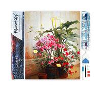 Figured’Art Diamond Painting Broderie Diamant 40x50cm Toile Entière Roulée avec Strass Perles Carrés - Côté d'une serre - Kit Complet 5D DIY Activité Manuelle Loisirs Créatifs Adultes