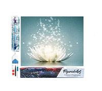 Figured’Art Diamond Painting Broderie Diamant 40x50cm Toile Entière Roulée avec Strass Perles Carrés - Magie Lumière - Kit Complet 5D DIY Activité Manuelle Loisirs Créatifs Adultes
