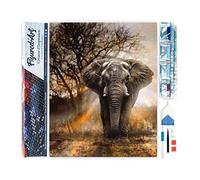 Figured’Art Diamond Painting Broderie Diamant 40x50cm Toile Entière Roulée avec Strass Perles Carrés - Eléphant dans la Savane - Kit Complet Animaux 5D DIY Activité Manuelle Loisirs Créatifs Adultes
