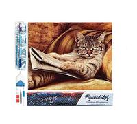 Figured’Art Diamond Painting Broderie Diamant 40x50cm Toile Entière Roulée avec Strass Perles Carrés - Le Chat connaisseur - Kit Complet Animaux 5D DIY Activité Manuelle Loisirs Créatifs Adultes