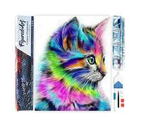 Figured’Art Diamond Painting Broderie Diamant 40x50cm Toile Entière Roulée avec Strass Perles Carrés - Chaton coloré - Kit Complet Animaux 5D DIY Activité Manuelle Loisirs Créatifs Adultes