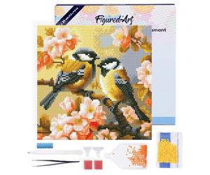 Figured’Art Mini Diamond Painting Broderie Diamant 25x25cm avec Cadre Toile Tendue et Perles Rondes - Couple d'Oiseaux parmi les Fleurs - Kit Complet DIY Activité Manuelle Loisirs Créatifs Adultes