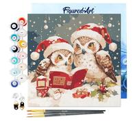 Figured'Art Mini Peinture par Numéro Adulte 20x20cm avec cadre Chouettes Père Noël Lisant - Petit Format Kit de Loisir Créatif DIY Numéro d'Art Complet