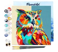 Figured'Art Mini Peinture par Numéro Adulte 20x20cm avec cadre Hibou Abstrait Pop Art - Petit Format Kit de Loisir Créatif