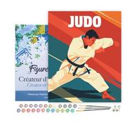 Figured'Art Peinture par Numéro Adulte avec Cadre Affiche sportive Judo - Activité Manuelle Kit de Loisir Créatif DIY Numéro d'Art Complet - 40x50cm toile tendue sur châssis
