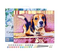 Figured'Art Peinture par Numéro Adulte avec Cadre Beagle Mignon - Activité Manuelle Kit de Loisir Créatif DIY Numéro d'Art Complet - 40x50cm toile tendue sur châssis