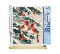 Figured'Art Peinture par Numéro Adulte avec Cadre Cardinal d'Hiver - Activité Manuelle Kit de Loisir Créatif DIY Numéro d'Art Complet - 40x50cm avec châssis en bois à monter