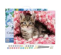 Figured'Art Peinture par Numéro Adulte avec Cadre Chaton enrobé - Activité Manuelle Kit de Loisir Créatif DIY Numéro d'Art Complet - 40x50cm toile tendue sur châssis