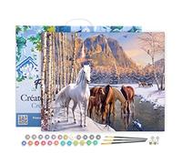Figured'Art Peinture par Numéro Adulte avec Cadre Chevaux à la fin de l'hiver - Activité Manuelle Kit de Loisir Créatif DIY Numéro d'Art Complet - 40x50cm toile tendue sur châssis