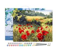 Figured'Art Peinture par Numéro Adulte avec Cadre Coquelicots champêtres - Activité Manuelle Kit de Loisir Créatif DIY Numéro d'Art Complet - 40x50cm toile tendue sur châssis