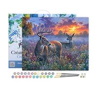 Figured'Art Peinture par Numéro Adulte avec Cadre Couple de cerfs - Activité Manuelle Kit de Loisir Créatif DIY Numéro d'Art Complet - 40x50cm toile tendue sur châssis
