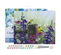 Figured'Art Peinture par Numéro Adulte avec Cadre Couple de chardonneret - Activité Manuelle Kit de Loisir Créatif DIY Numéro d'Art Complet - 40x50cm toile tendue sur châssis