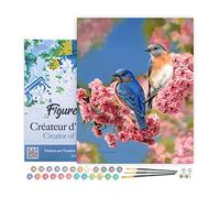 Figured'Art Peinture par Numéro Adulte avec Cadre Couple d'oiseaux bleus - Activité Manuelle Kit de Loisir Créatif DIY Numéro d'Art Complet - 40x50cm toile tendue sur châssis