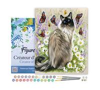 Figured'Art Peinture par Numéro Adulte avec Cadre Découverte des papillons - Activité Manuelle Kit de Loisir Créatif DIY Numéro d'Art Complet - 40x50cm toile tendue sur châssis