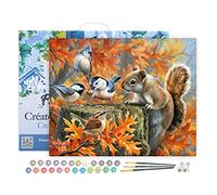 Figured'Art Peinture par Numéro Adulte avec Cadre Ecureuil espiègle - Activité Manuelle Kit de Loisir Créatif DIY Numéro d'Art Complet - 40x50cm toile tendue sur châssis