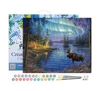 Figured'Art Peinture par Numéro Adulte avec Cadre Elan et aurore boréale - Activité Manuelle Kit de Loisir Créatif DIY Numéro d'Art Complet - 40x50cm toile tendue sur châssis