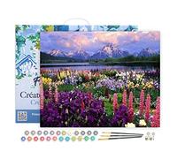 Figured'Art Peinture par Numéro Adulte avec Cadre Fleurs et Lac au Pied de la Montagne - Activité Manuelle Kit de Loisir Créatif DIY Numéro d'art Complet - 40x50cm Toile tendue sur châssis