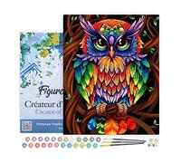 Figured'Art Peinture par Numéro Adulte avec Cadre Hibou coloré - Activité Manuelle Kit de Loisir Créatif DIY Numéro d'Art Complet - 40x50cm toile tendue sur châssis