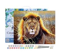 Figured'Art Peinture par Numéro Adulte avec Cadre Lion dans la savane - Activité Manuelle Kit de Loisir Créatif DIY Numéro d'Art Complet - 40x50cm toile tendue sur châssis