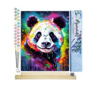 Figured'Art Peinture par Numéro Adulte avec Cadre Panda Coloré Abstrait - Activité Manuelle Kit de Loisir Créatif DIY Numéro d'Art Complet Animaux - 40x50cm avec châssis en bois à monter