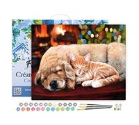 Figured'Art Peinture par Numéro Adulte avec Cadre Sieste entre amis - Activité Manuelle Kit de Loisir Créatif DIY Numéro d'Art Complet - 40x50cm toile tendue sur châssis