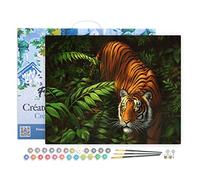 Figured'Art Peinture par Numéro Adulte avec Cadre Tigre dans les fougères - Activité Manuelle Kit de Loisir Créatif DIY Numéro d'Art Complet - 40x50cm toile tendue sur châssis