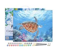 Figured'Art Peinture par Numéro Adulte avec Cadre Tortue en ballade - Activité Manuelle Kit de Loisir Créatif DIY Numéro d'Art Complet - 40x50cm toile tendue sur châssis