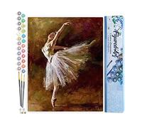 Figured'Art Peinture par Numéro Adulte Ballerine en pointes - Activité Manuelle Kit de Loisir Créatif DIY Numéro d'Art Complet - 40x50cm sans châssis en bois