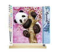 Figured'Art Peinture par Numéro Adulte Bébé Panda - Activité Manuelle Kit de Loisir Créatif DIY Numéro d'Art Complet - 40x50cm avec châssis en bois à monter