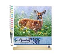 Figured'Art Peinture par Numéro Adulte Biche dans la prairie - Activité Manuelle Kit de Loisir Créatif DIY Numéro d'Art Complet - 40x50cm avec châssis en bois à monter