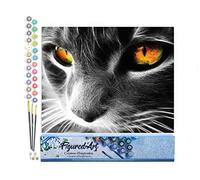 Figured'Art Peinture par Numéro Adulte Chat aux yeux perçants - Activité Manuelle Kit de Loisir Créatif DIY Numéro d'Art Complet - 40x50cm sans châssis en bois