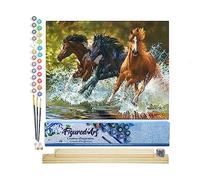 Figured'Art Peinture par Numéro Adulte Chevaux de Camargue - Activité Manuelle Kit de Loisir Créatif DIY Numéro d'Art Complet - 40x50cm avec châssis en bois à monter