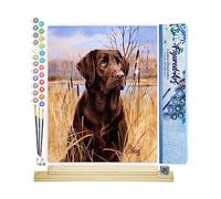 Figured'Art Peinture par Numéro Adulte Chien Labrador - Activité Manuelle Kit de Loisir Créatif DIY Numéro d'Art Complet - 40x50cm avec châssis en bois à monter