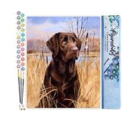 Figured'Art Peinture par Numéro Adulte Chien labrador - Activité Manuelle Kit de Loisir Créatif DIY Numéro d'Art Complet - 40x50cm sans châssis en bois
