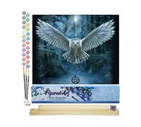 Figured'Art Peinture par Numéro Adulte Chouette porteuse de Croix - Activité Manuelle Kit de Loisir Créatif DIY Numéro d'Art Complet - 40x50cm avec châssis en bois à monter