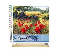 Figured'Art Peinture par Numéro Adulte Coquelicots champêtres - Activité Manuelle Kit de Loisir Créatif DIY Numéro d'Art Complet - 40x50cm avec châssis en bois à monter