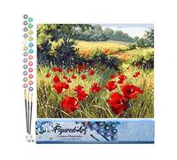 Figured'Art Peinture par Numéro Adulte Coquelicots champêtres - Activité Manuelle Kit de Loisir Créatif DIY Numéro d'Art Complet - 40x50cm sans châssis en bois