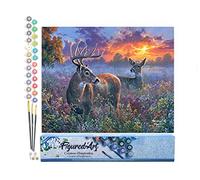 Figured'Art Peinture par Numéro Adulte Couple de cerfs - Activité Manuelle Kit de Loisir Créatif DIY Numéro d'Art Complet - 40x50cm sans châssis en bois