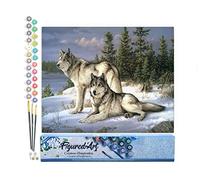 Figured'Art Peinture par Numéro Adulte Couple de loups - Activité Manuelle Kit de Loisir Créatif DIY Numéro d'Art Complet - 40x50cm sans châssis en bois