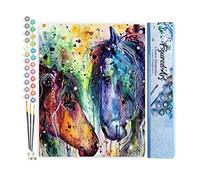 Figured'Art Peinture par Numéro Adulte Deux chevaux en couleur - Activité Manuelle Kit de Loisir Créatif DIY Numéro d'Art Complet - 40x50cm sans châssis en bois